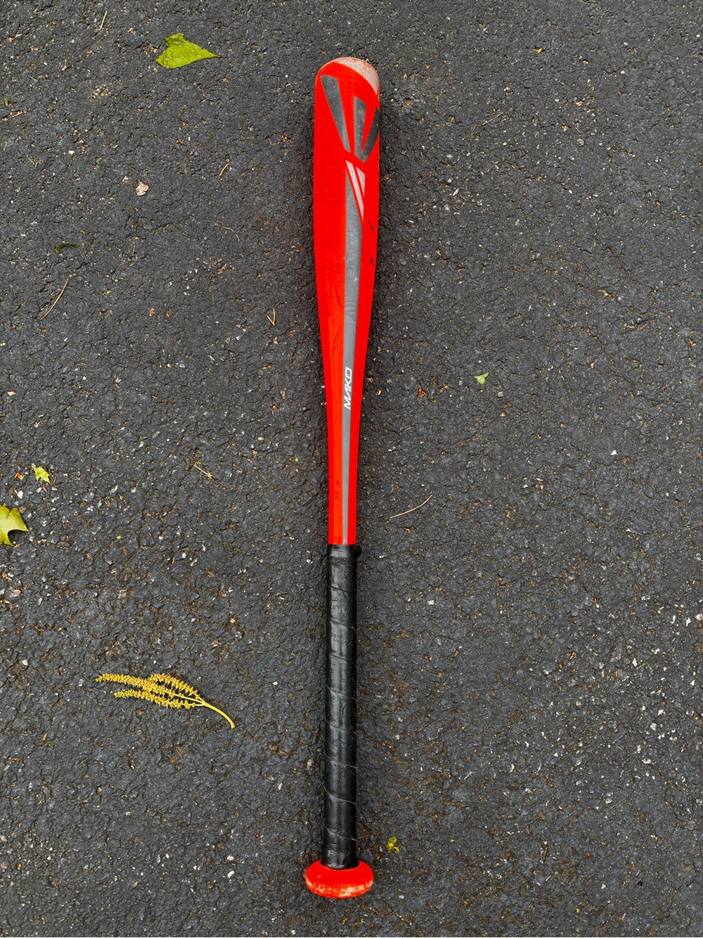 Easton Red and Black Youth Baseball Bat